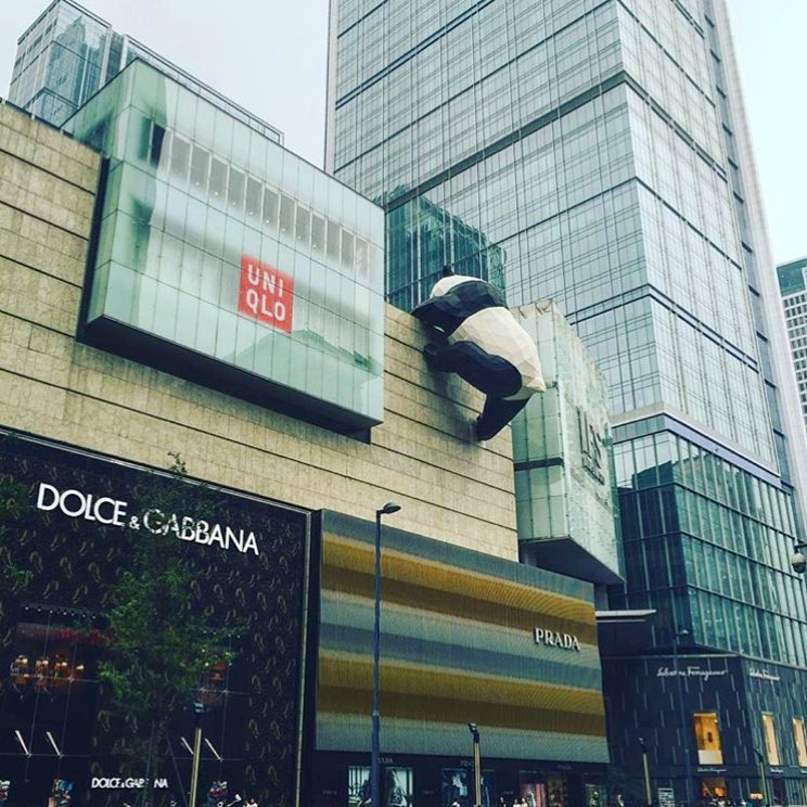 Photo by Andy | Sydney • Travel • Training in Chengdu, Sichuan.