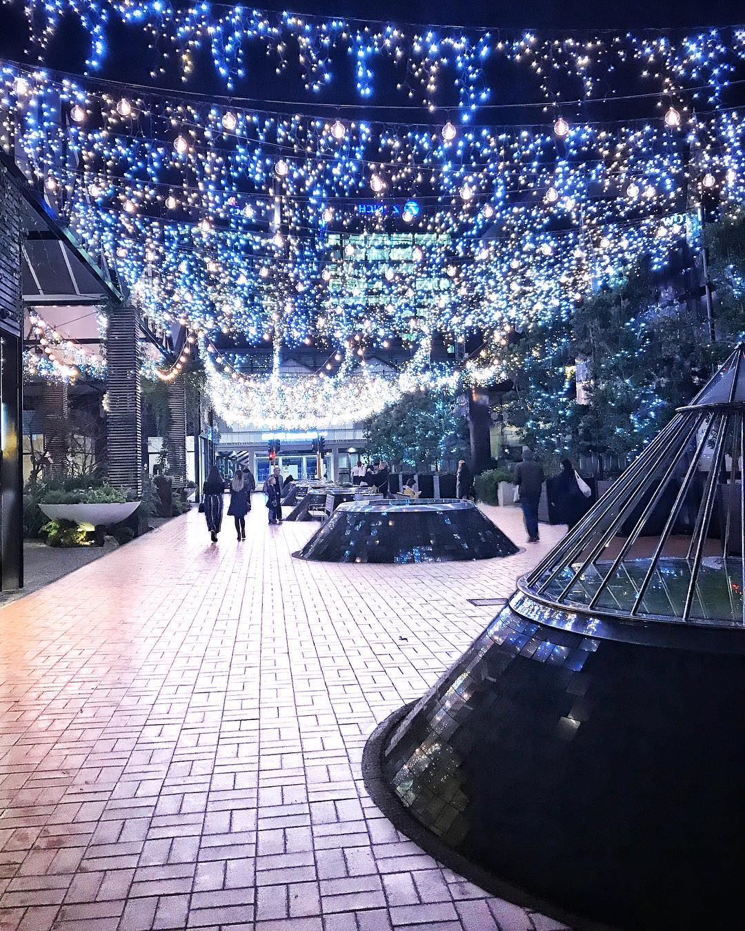 Photo by Andy | Sydney • Travel • Training in Auckland, New Zealand