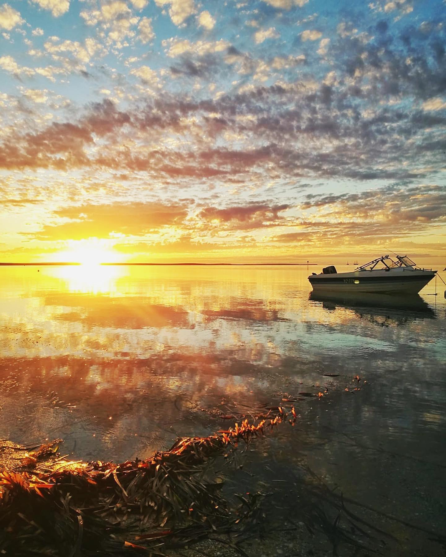 Photo by Andy | Sydney • Travel • Training in Surfers Paradise, Queensland